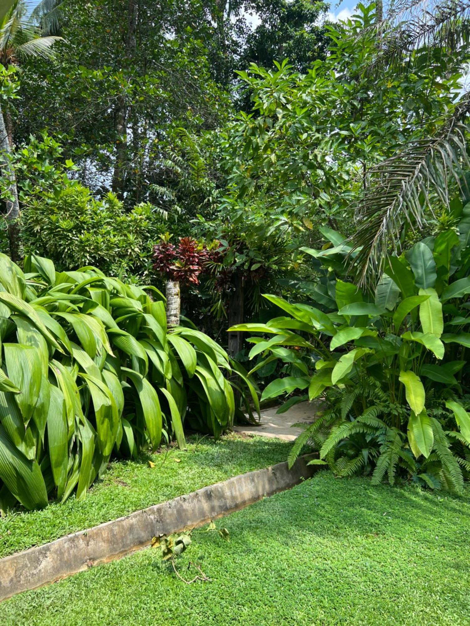 Medusa Bungalow - Galle Extérieur photo