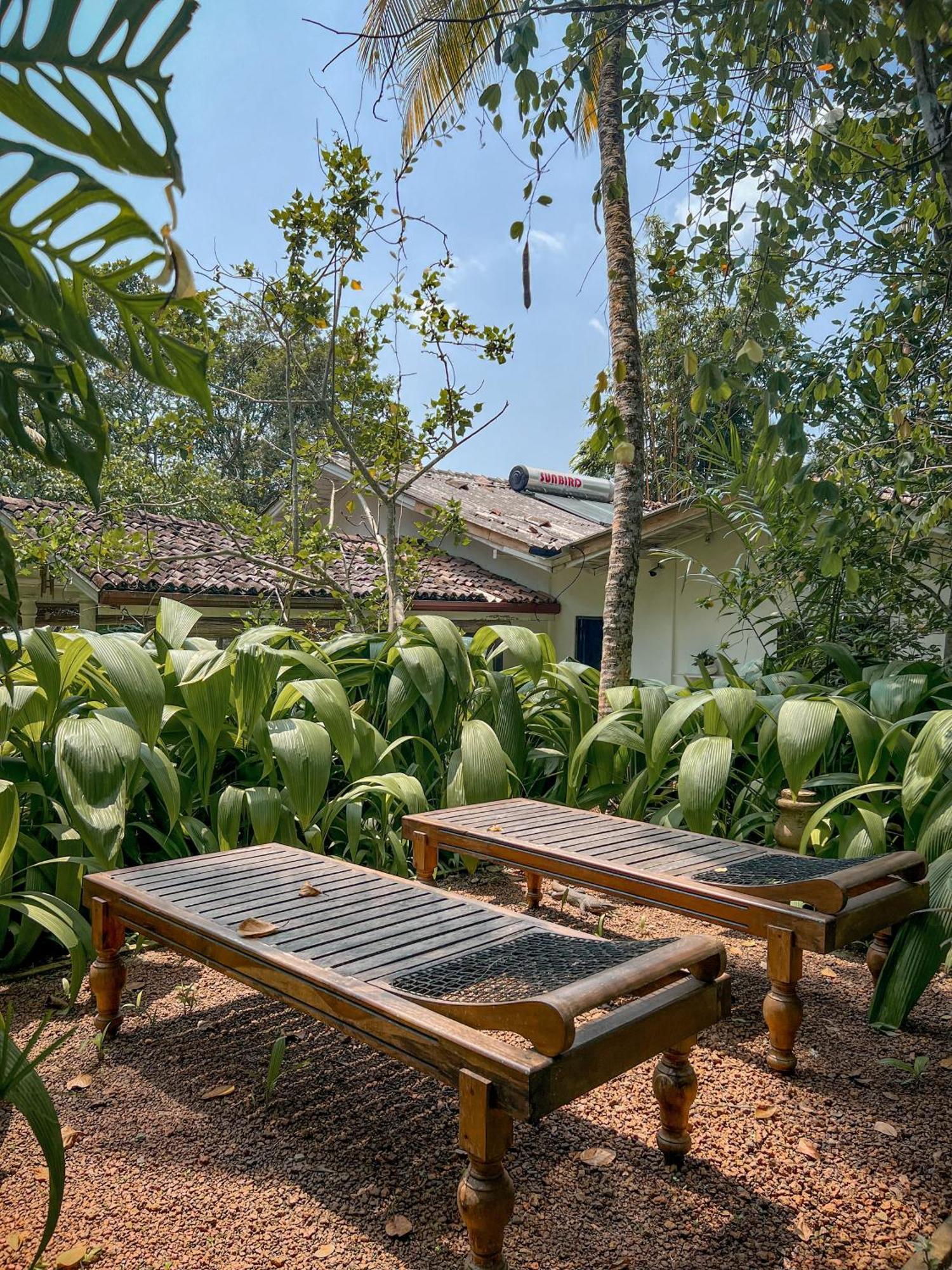 Medusa Bungalow - Galle Extérieur photo