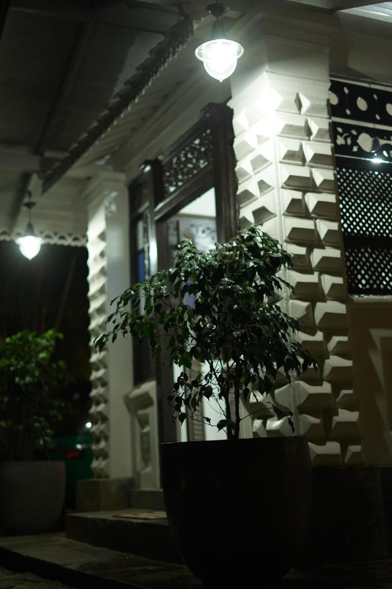 Medusa Bungalow - Galle Extérieur photo